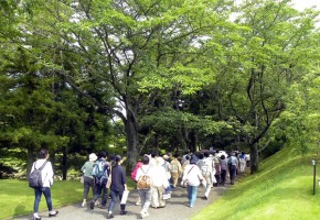 DIC川村記念美術館「日本の伝統色～庭園の色彩に触れながら～」