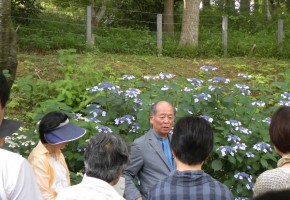 DIC川村記念美術館「日本の伝統色～庭園の色彩に触れながら～」