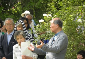 DIC川村記念美術館「日本の伝統色～庭園の色彩に触れながら～」